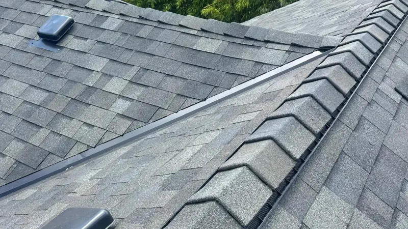 WhatsApp Image 2025-12-17 at 08.56.59