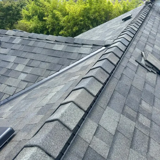 WhatsApp Image 2025-12-17 at 08.57.11